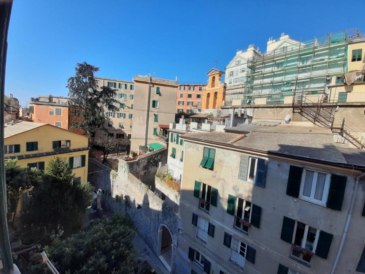 Apartmán Giuggiolhouse Janov Exteriér fotografie